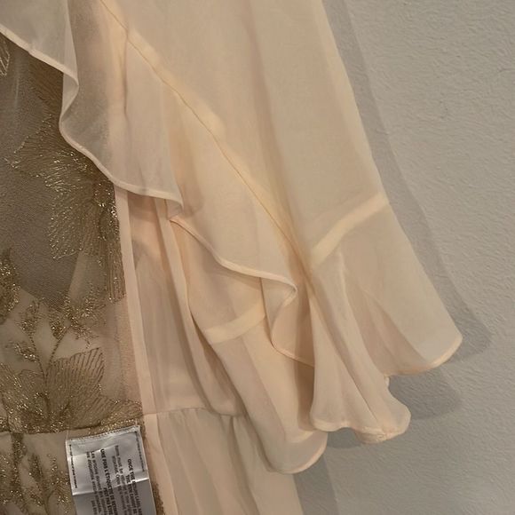 BCBGMaxAzria Cream and Tan Dress - Picture 6 of 10